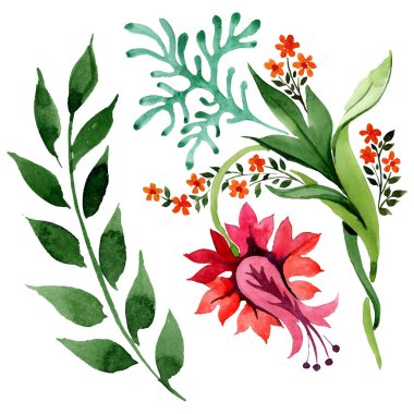 Kış süs elemanları. Suluboya arka plan illüstrasyon seti. İzole süs illüstrasyon elemanı.