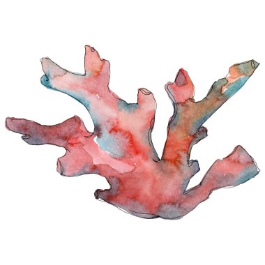 Kırmızı su altı doğa mercan resifi. Suluboya arka plan seti. İzole mercan illüstrasyon elemanı.