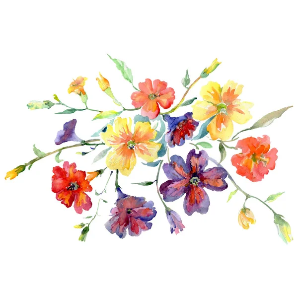 Buquê flores botânicas florais. Conjunto de fundo aquarela. Isolado buquê elemento ilustração . — Fotografia de Stock