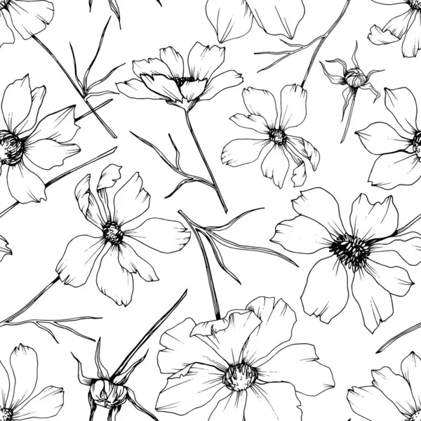 Vektorové Kosmos květinové botanické květy. Černé a bílé ryté inkoustem. Bezespání vzorek pozadí. — Stockový vektor