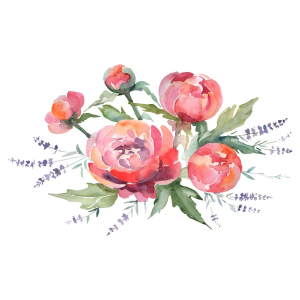 Kırmızı şakayık çiçekli botanik çiçekleri. Suluboya arka plan seti. İzole buketler çizim ögesi.