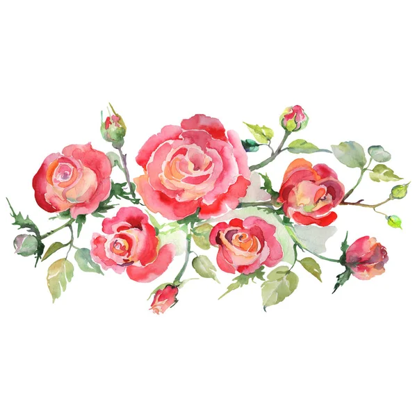 Букет червоної троянди квіткові ботанічні квіти. Набір акварельних фонів. Ізольовані букети елемент ілюстрації . — стокове фото