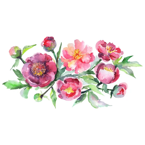 Peony buquê flores botânicas florais. Conjunto de fundo aquarela. Isolados buquês elemento ilustrativo . — Fotografia de Stock