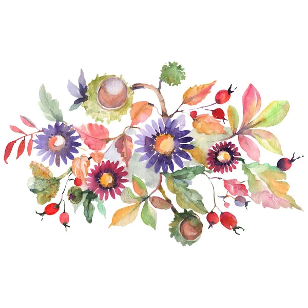 Autumn bouquet with asters and chesthut isolated. Watercolor background set. Isolated bouquet illustration element. — Stock Photo, Image