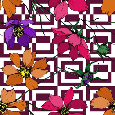 Vektör Cosmos çiçek botanik çiçekler. Siyah ve beyaz oyulmuş mürekkep sanatı. Kesintisiz arka plan deseni.