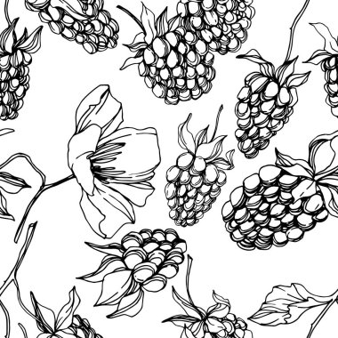 Vektör Blackberry sağlıklı gıda. Siyah ve beyaz oyulmuş mürekkep sanatı. Kesintisiz arka plan deseni.