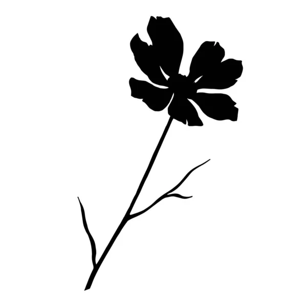 Vektorkosmos florale botanische Blumen. Schwarz-weiß gestochene Tuschekunst. isoliertes kosmetisches Illustrationselement. — Stockvektor