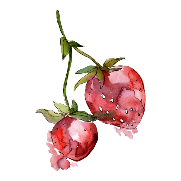 Fraise alimentation saine. Ensemble d'illustration de fond aquarelle. Élément d'illustration de baies isolé . — Photo