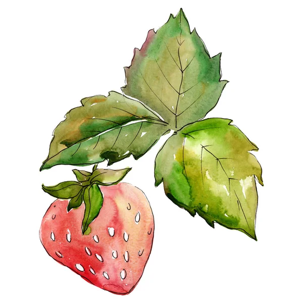 Eper egészséges étel. Akvarell háttér illusztráció meg. Izolált bogyó illusztráció elem. — Stock Fotó