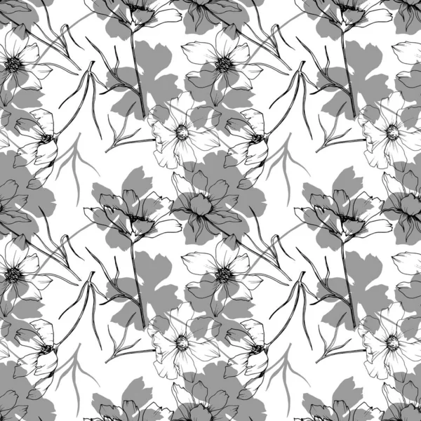 Vector Cosmos flores botânicas florais. Tinta gravada a preto e branco. Padrão de fundo sem costura . — Vetor de Stock