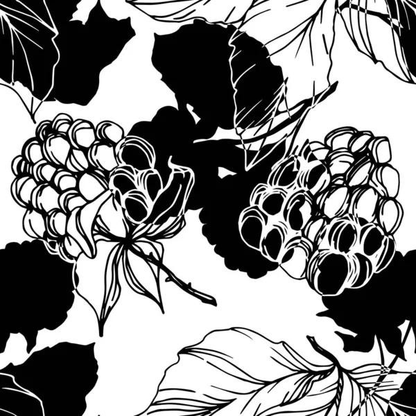 Vector Blackberry comida saludable. Tinta grabada en blanco y negro. Patrón de fondo sin costuras . — Vector de stock
