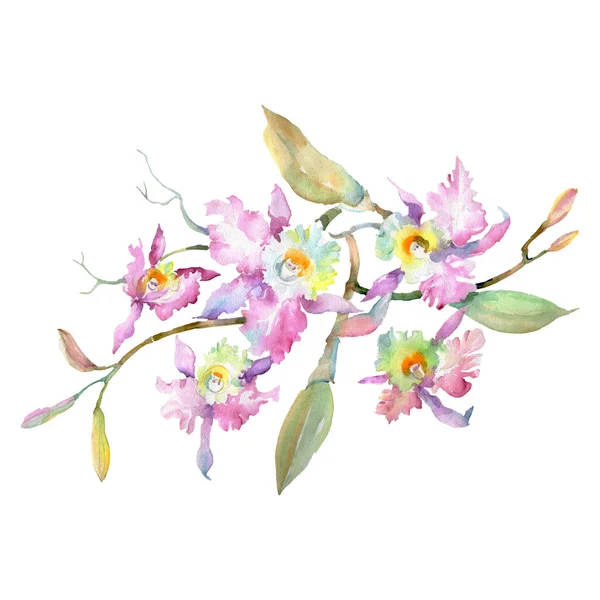 Розовый букет орхидеи цветочные ботанические цветы. Акварельный набор фона. Изолированный элемент иллюстрации букета . — стоковое фото