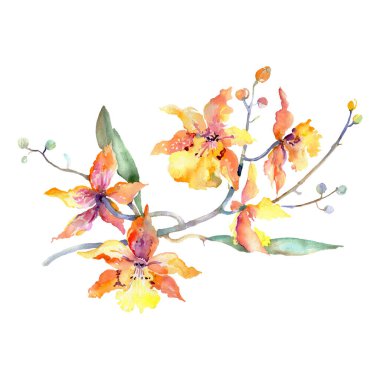 Orange orchid bouquet floral botanical flowers. Watercolor background set. Isolated bouquets illustration element.