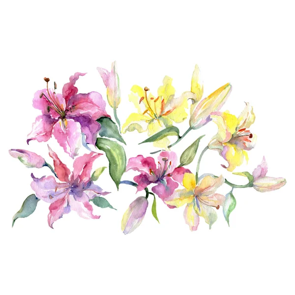 Ramo de lirios flores botánicas florales. Conjunto de fondo acuarela. Ramos aislados elemento de ilustración . — Foto de Stock