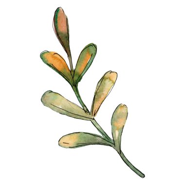 Noel kış tatili sembolü izole. Suluboya arka plan seti. Yalıtılmış noel illüstrasyon öğesi.