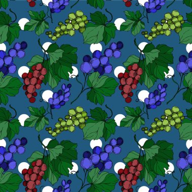 Vector Grape Berry sağlıklı yemek. Siyah beyaz işlemeli mürekkep sanatı. Kusursuz arkaplan deseni.
