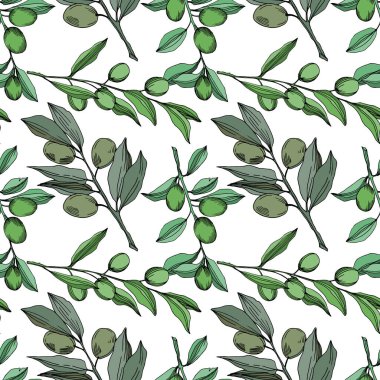 Meyve ile Vektör Zeytin dalı. Siyah ve beyaz oyulmuş mürekkep sanatı. Kesintisiz arka plan deseni.