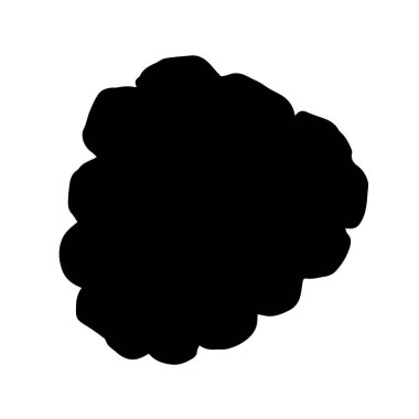 Vektör Blackberry sağlıklı gıda. Siyah ve beyaz oyulmuş mürekkep sanatı. İzole berry illüstrasyon elemanı.