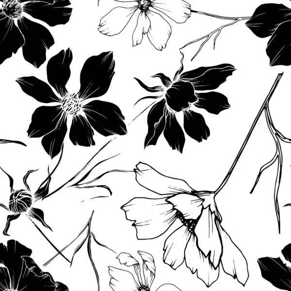 Vector Cosmos flores botánicas florales. Tinta grabada en blanco y negro. Patrón de fondo sin costuras . — Vector de stock