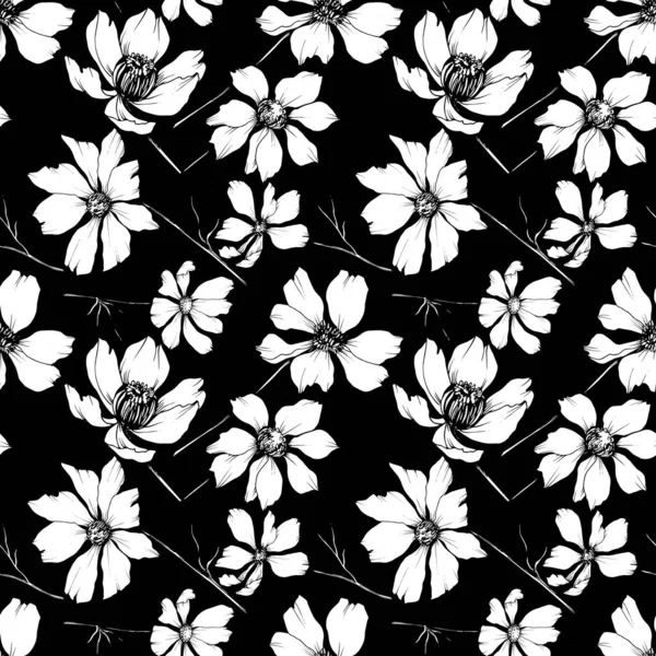 Vektorové Kosmos květinové botanické květy. Černé a bílé ryté inkoustem. Bezespání vzorek pozadí. — Stockový vektor