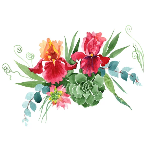 Bouquet floreale fiori botanici. Acquerello sfondo illustrazione set. Mazzi isolati elemento illustrazione . — Foto Stock