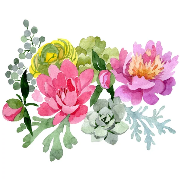 Ramo Peony flores botánicas florales. Conjunto de ilustración de fondo acuarela. Ramos aislados elemento de ilustración . — Foto de Stock