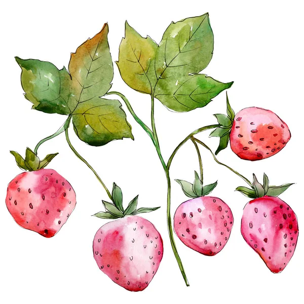 수채화 스타일의 딸기 건강 식품이 고립되어 있습니다. 수채화 배경 세트입니다. 절연 베리 일러스트 요소 — 스톡 사진
