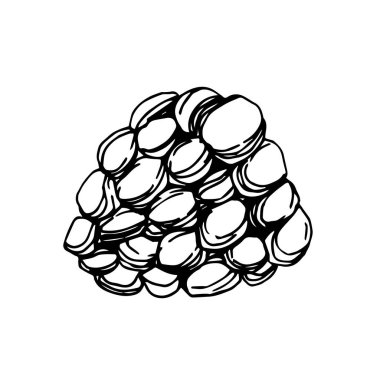 Vektör Blackberry sağlıklı gıda. Siyah ve beyaz oyulmuş mürekkep sanatı. İzole berry illüstrasyon elemanı.