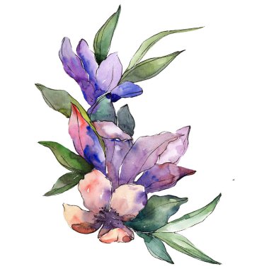 Buket çiçek botanik çiçekler. Suluboya arka plan illüstrasyon seti. İzole buketleri illüstrasyon elemanı.