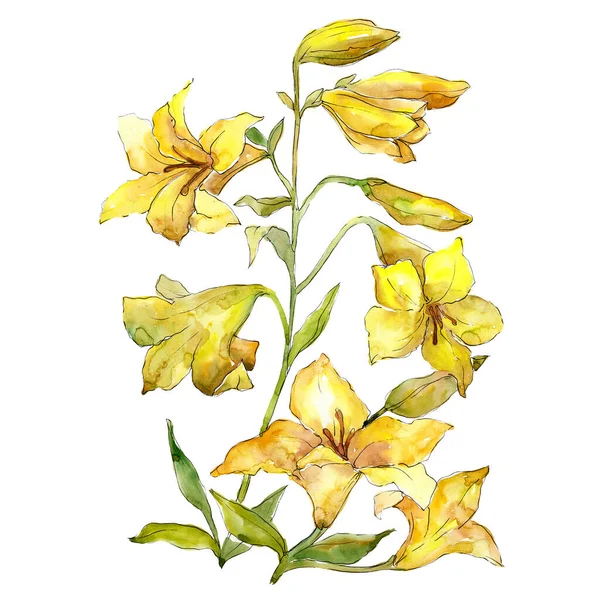 Ramo de Lilium flores botánicas florales. Conjunto de ilustración de fondo acuarela. Ramos aislados elemento de ilustración . — Foto de Stock