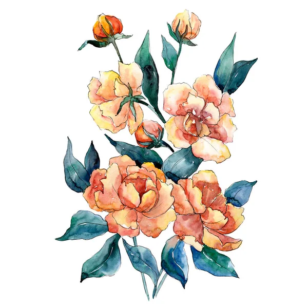 Bouquet di peonia fiori botanici floreali. Acquerello sfondo illustrazione set. Mazzi isolati elemento illustrazione . — Foto Stock