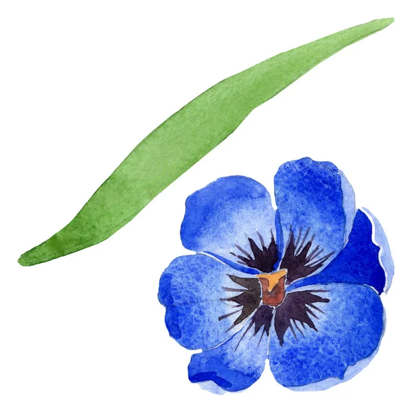 Mavi lale çiçek botanik çiçekleri. Suluboya arka plan illüstrasyon seti. İzole laleler illüstrasyon elemanı. — Stok fotoğraf