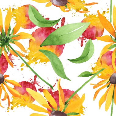 Rudbeckia hirta botanik çiçekleri. Suluboya arkaplan çizimi. Kusursuz arkaplan deseni.