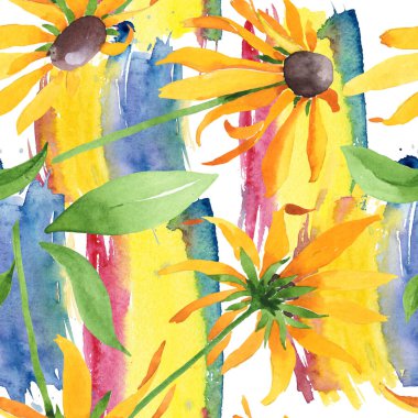 Rudbeckia hirta botanik çiçekleri. Suluboya arkaplan çizimi. Kusursuz arkaplan deseni.