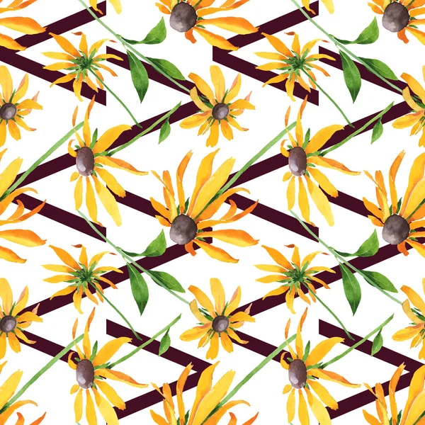 Rudbeckia hirta floral botanical flowers. Watercolor background illustration set. Seamless background pattern. — Stock Photo, Image