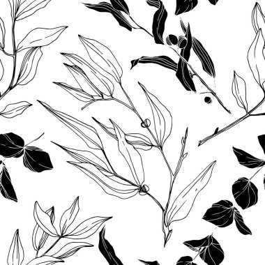 Vektör okaliptüs ağacı orman botaniğini terk eder. Siyah beyaz işlemeli mürekkep sanatı. Kusursuz arkaplan deseni.