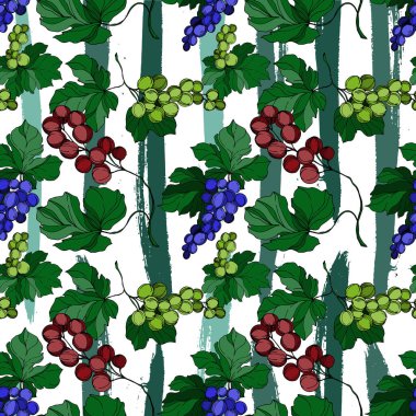 Vector Grape Berry sağlıklı yemek. Siyah beyaz işlemeli mürekkep sanatı. Kusursuz arkaplan deseni.