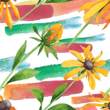Rudbeckia hirta botanik çiçekleri. Suluboya arkaplan çizimi. Kusursuz arkaplan deseni.
