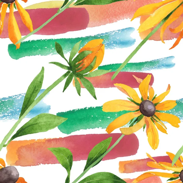 Rudbeckia hirta kwiatowe kwiaty botaniczne. Zestaw ilustracji tła akwareli. Płynny wzór tła. — Zdjęcie stockowe