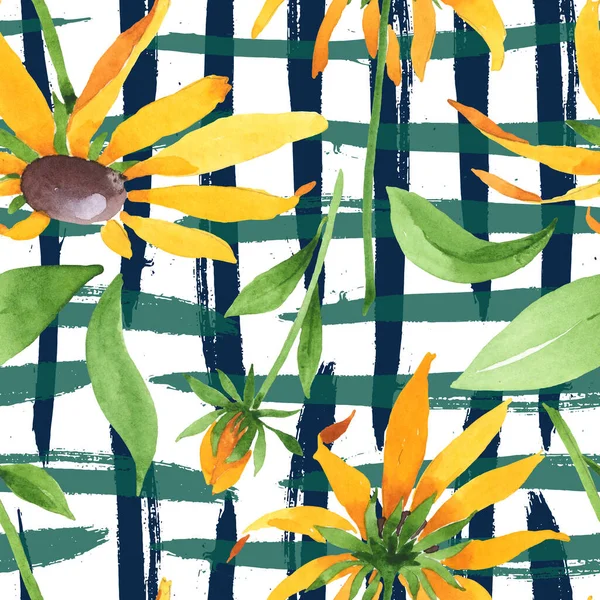 Rudbeckia hirta kwiatowe kwiaty botaniczne. Zestaw ilustracji tła akwareli. Płynny wzór tła. — Zdjęcie stockowe