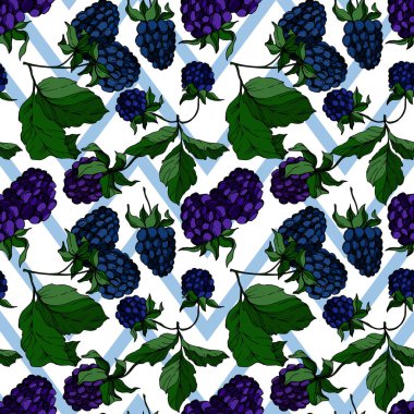 Vektör Blackberry sağlıklı gıda. Siyah ve beyaz oyulmuş mürekkep sanatı. Kesintisiz arka plan deseni.
