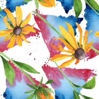 Rudbeckia hirta botanik çiçekleri. Suluboya arkaplan çizimi. Kusursuz arkaplan deseni.