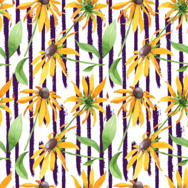 Rudbeckia hirta botanik çiçekleri. Suluboya arkaplan çizimi. Kusursuz arkaplan deseni.