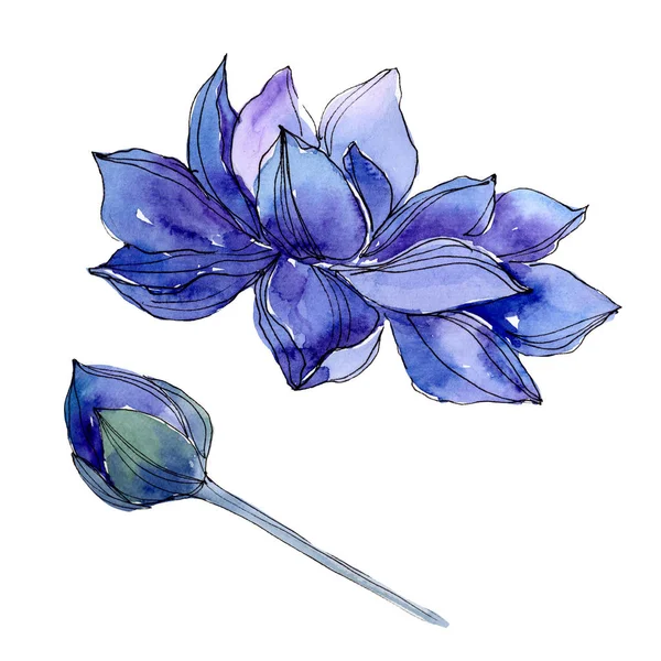 Blue Lotus Floral Botanical Flowers Watercolor Background Illustration Set Isolated Lotus Illustration Element Drawing Vintage Stock Photo Blue Lotus Floral Botanical Flowers Watercolor Background Illustration Set Isolated Lotus Illustration Element Drawing Vintage Stock Photo