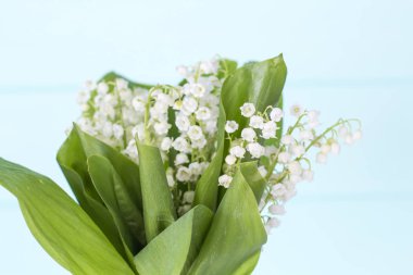 buket bell-turkuaz ahşap zemin üzerine