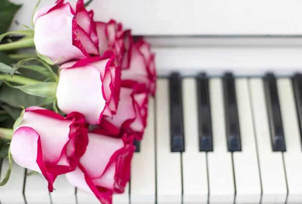 Κοντινό Πλάνο Του Ροζ Τριαντάφυλλα Μπουκέτο Ξαπλωμένος Πλήκτρα Πιάνου — Φωτογραφία Αρχείου