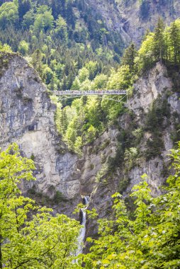Schwangau güzel manzara. Güzel dağlar, Bavyera Alpleri