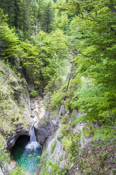 Cascata Verde Lussureggiante Schwangau — Foto Stock