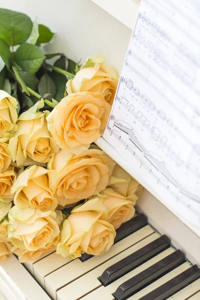 Персикові Троянди Піаніно Нотами — стокове фото