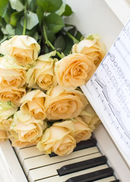 Rosas Melocotón Piano Con Notas — Foto de Stock